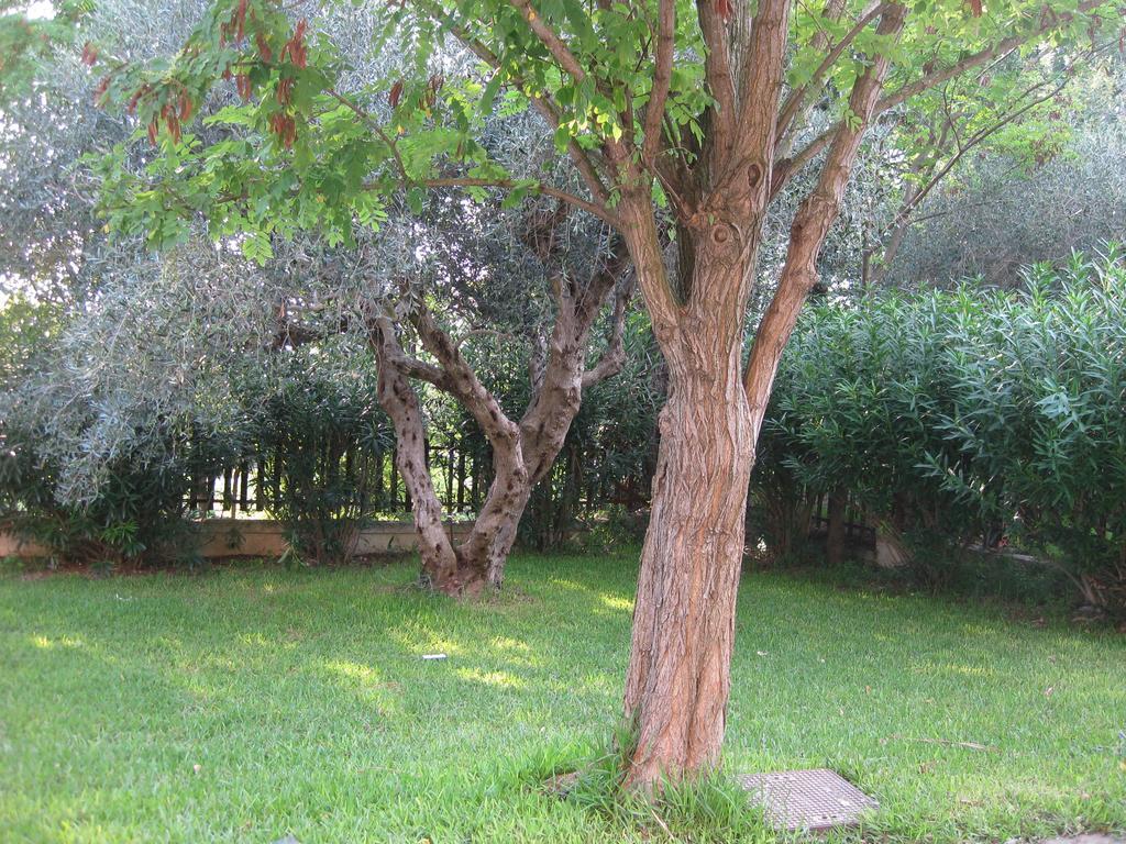 Caputaquis Bed and Breakfast Capaccio Εξωτερικό φωτογραφία