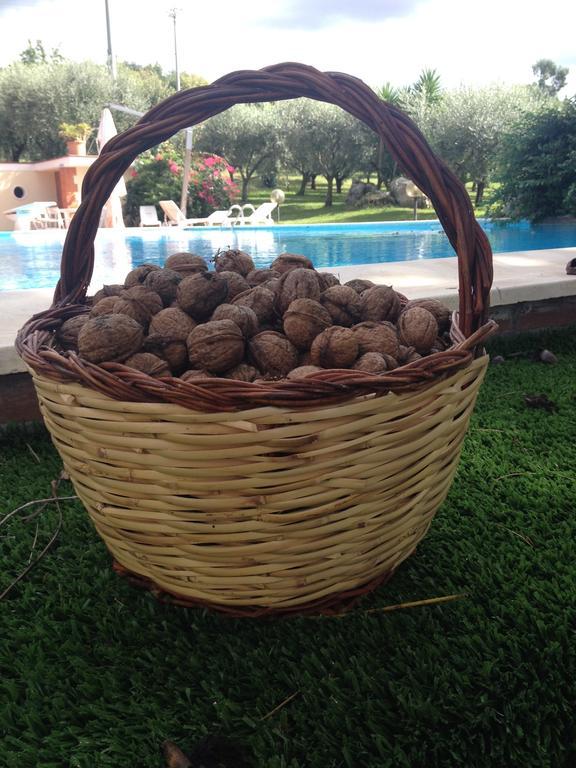 Caputaquis Bed and Breakfast Capaccio Εξωτερικό φωτογραφία